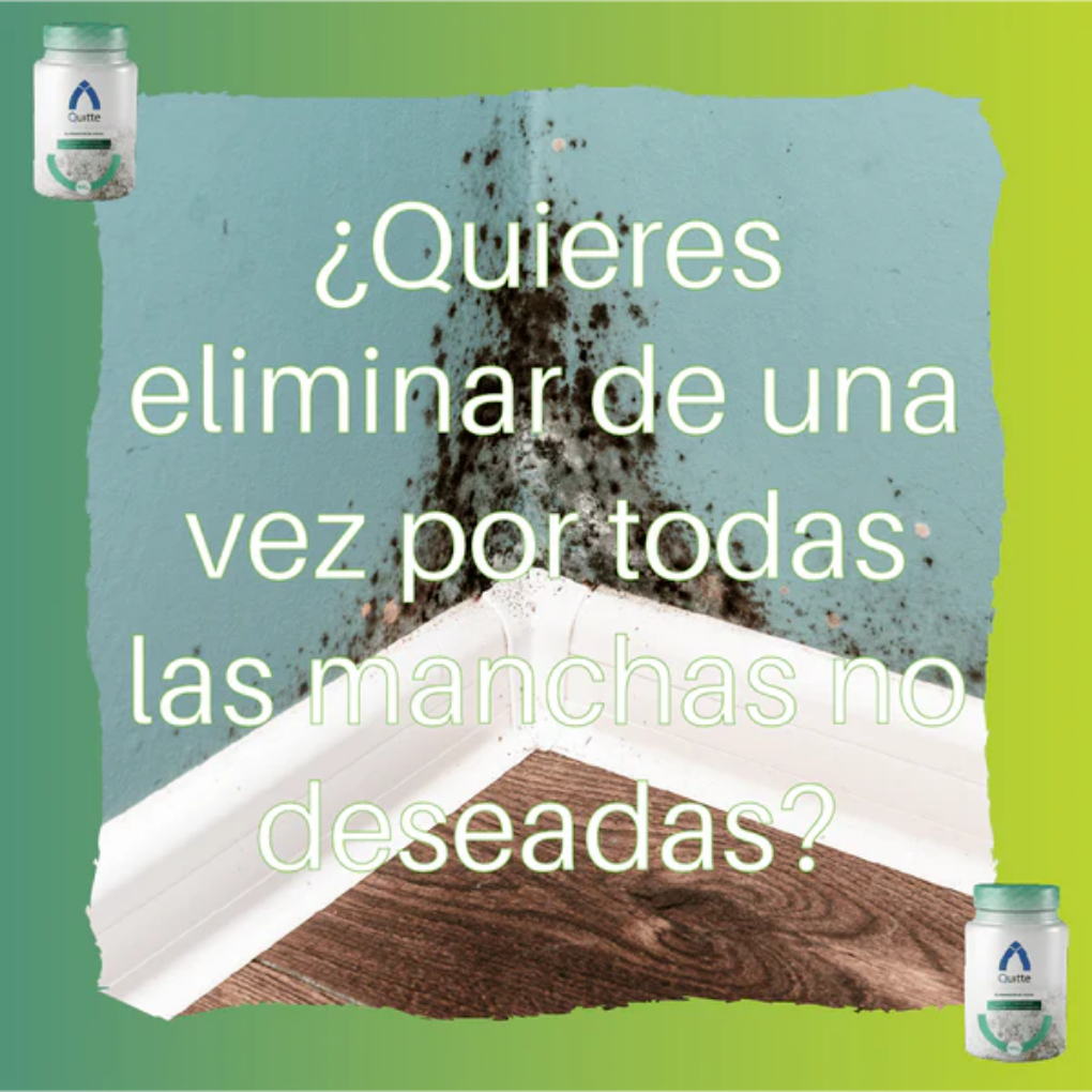 gid://shopify/MediaImage/25388449005686